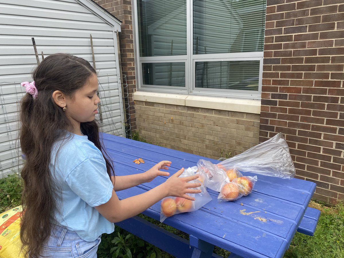 Hollin Meadows Garden (@hmesoutdoored) on Twitter photo We washed, bagged and distributed over 65# of apples to our weekend backpack program yesterday! Thanks to <a href="/BeTheGood_DC/">BeTheGoodProject</a> for the apples and another 50 meals that will go home with our students this weekend! <a href="/HollinMeadowsES/">Hollin Meadows</a> <a href="/HmesPartnership/">Hollin Meadows Partnership for Outdoor Education</a> <a href="/PTAHMES/">Hollin Meadows ES PTA</a> We washed, bagged and distributed over 65# of apples to our weekend backpack program yesterday! Thanks to <a href="/BeTheGood_DC/">BeTheGoodProject</a> for the apples and another 50 meals that will go home with our students this weekend! <a href="/HollinMeadowsES/">Hollin Meadows</a> <a href="/HmesPartnership/">Hollin Meadows Partnership for Outdoor Education</a> <a href="/PTAHMES/">Hollin Meadows ES PTA</a>