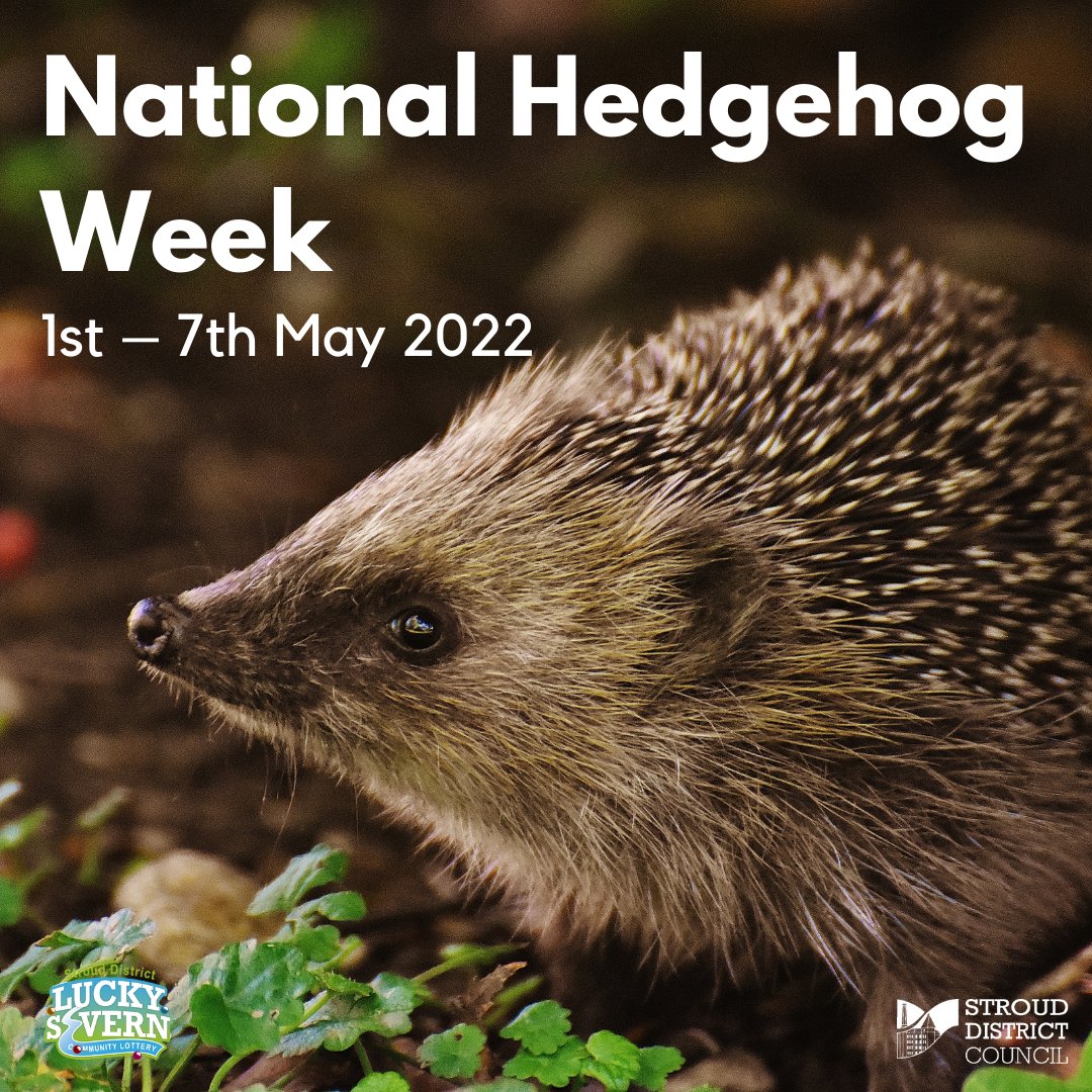 Stroud District Council tweet media