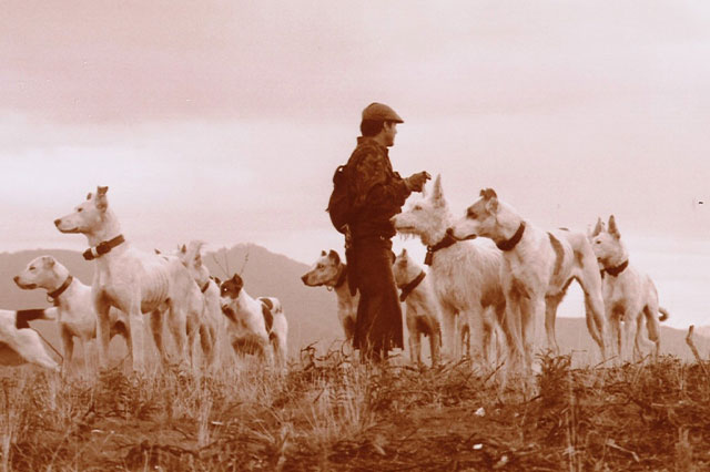 Entre finales del mes de abril y primeros de mayo se han presentado algunos de los primeros programas monteros de la temporada 2022/2023.
Mancha Ibérica
Entre ellos el de Mancha Ibérica, q...

bit.ly/3kKRkNF