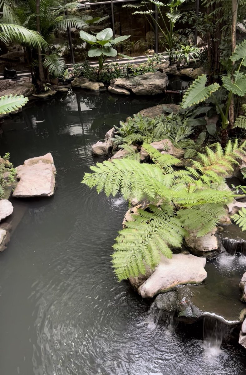 Worldcitizensu1's tweet photo. Tranquil and Zen! A good way to end the day. #relaxation #tranquil #ZEN #adventures #timetohike #weekendvibes https://t.co/1HAL3UbwnB