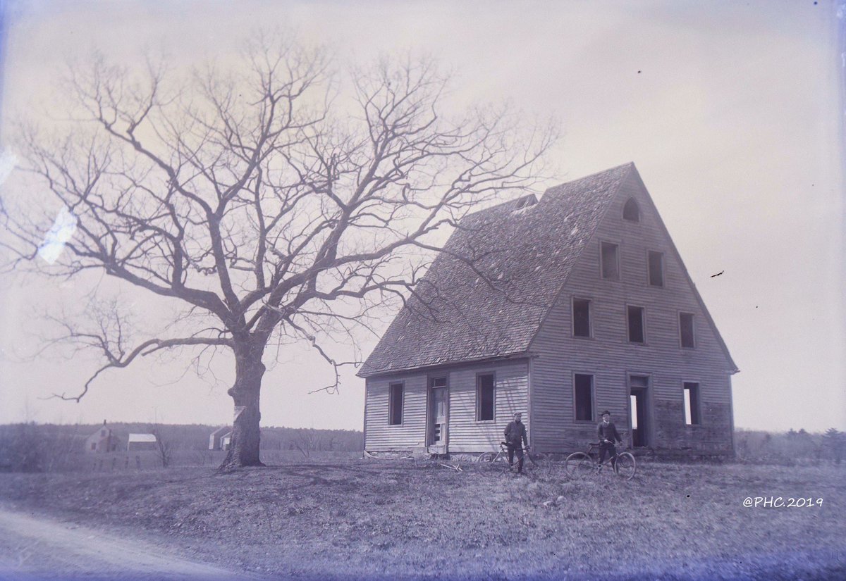 PHCPlainvillema's tweet photo. Okay now that we’ve gotten a stone that replaced an actual tree out of our system. Let’s get a little real here and a little spooky because who doesn’t like spooky trees!
#archivetrees #ArchiveHashtagParty #FromTheArchives #PlainvilleMa https://t.co/qRD9Ue8dsD