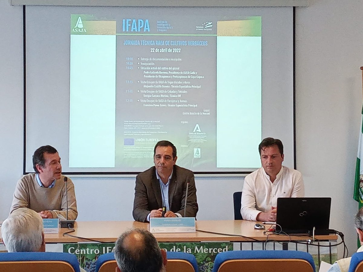 IfapaJunta's tweet photo. 🌾El centro #Ifapa Rancho de la Merced #Jerez imparte una jornada técnica #RAEA de cultivos herbáceos
🌻En ella ha intervenido @pedrogallardo73, presidente de @ASAJACADIZ, para abordar la situación actual del cultivo del #girasol
#IFAPAfuncionaylidera
@AndaluciaJunta https://t.co/Ns7xrEzXJj