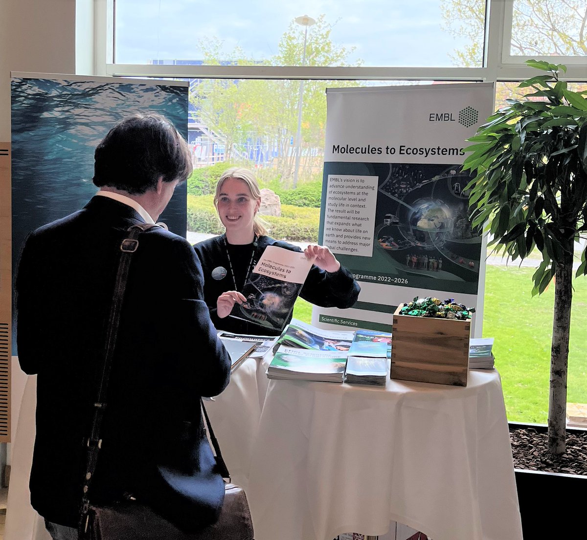 DANEMO_informs's tweet photo. What an event! We at the DANEMO team had an amazing experience at #MatchPoints22!
Thank you to everyone who came by to hear about opportunities for funding, career, services, job etc. @EMBO, @EMBL, @EMBLRome, @ELLS_Heidelberg - we're so grateful for the community we're building❤️ https://t.co/BWeeDEsomr