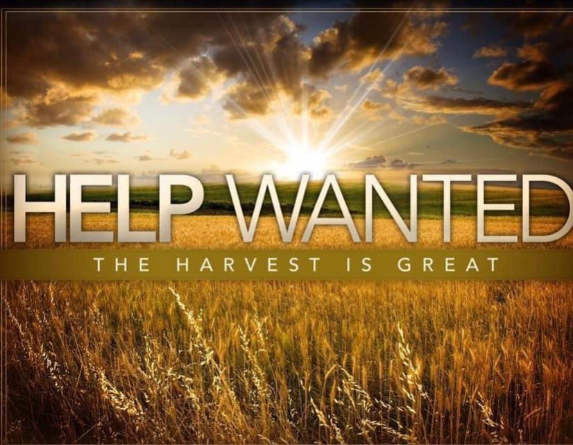 COTB_GulfCoast's tweet photo. Therefore, my dear brothers and sisters, stand firm. Let nothing move you. Always give yourselves fully to the work of the Lord, because you know that your labor in the Lord is not in vain. (1 Corinthians 15:58 NIV) https://t.co/pHV7kfLBG7