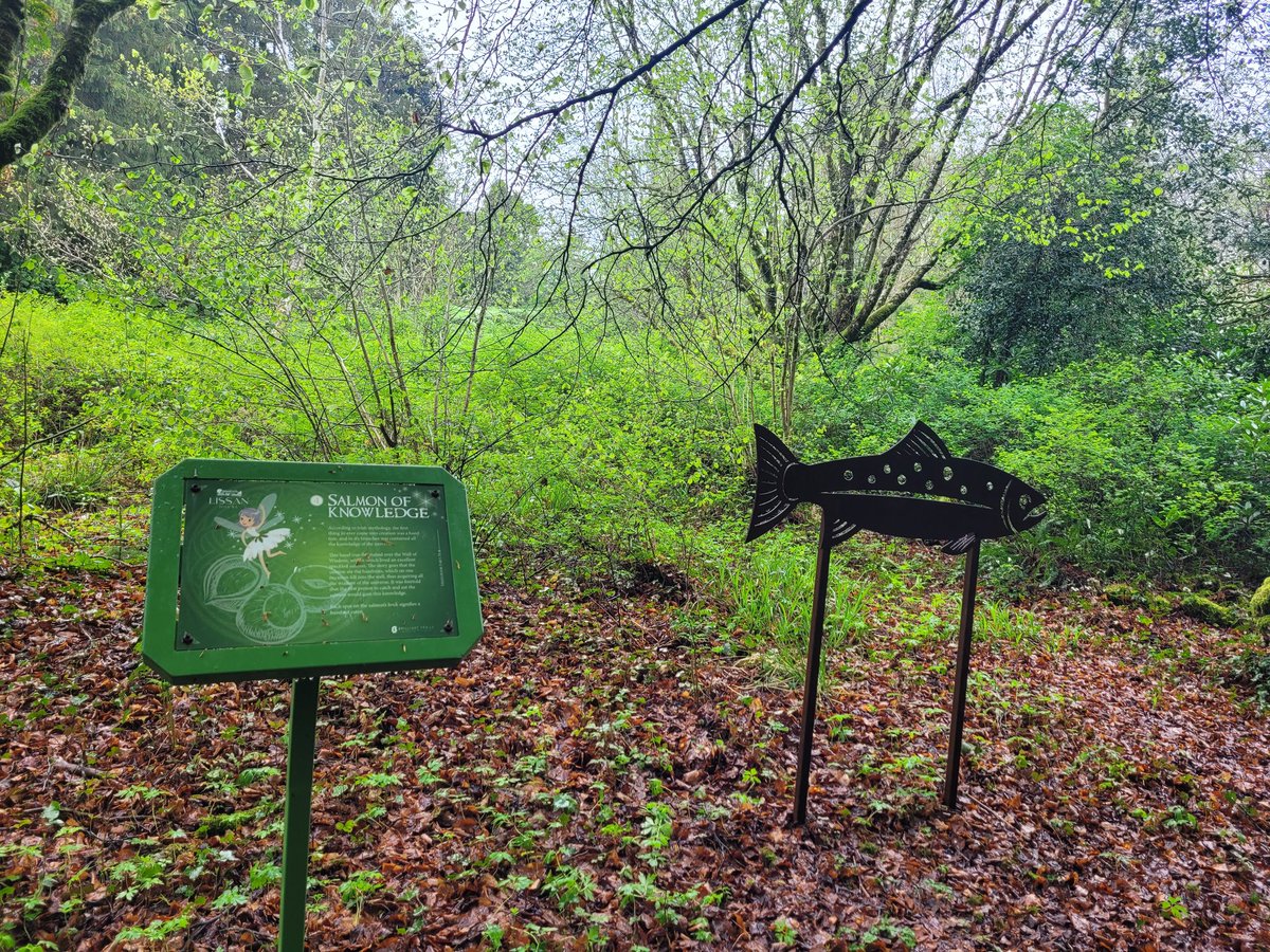 A lovely morning visting Sharon from <a href="/lissanhouse4/">Lissan House</a> to find out about possible volunteering opportunities. Watch out over the next few weeks for volunteer roles. 

Did you know that Lissan House is totally run by volunteers and self funded?