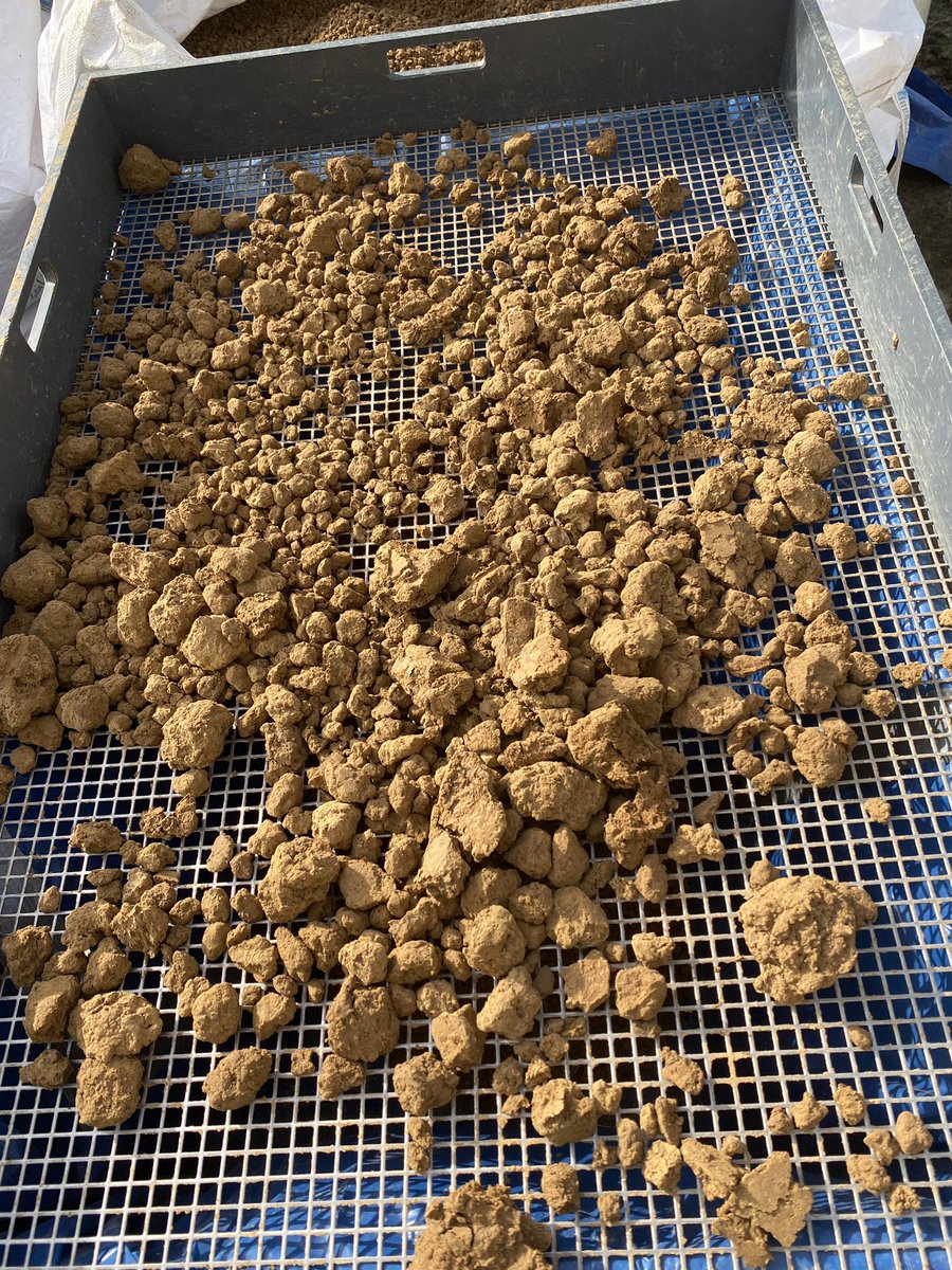 This week I finally finish sieving all the soil(around 3 cubic meters) for the experiment this year! Tiring work but a big step💪
Looking forward to my SOC-stabilization research✌️