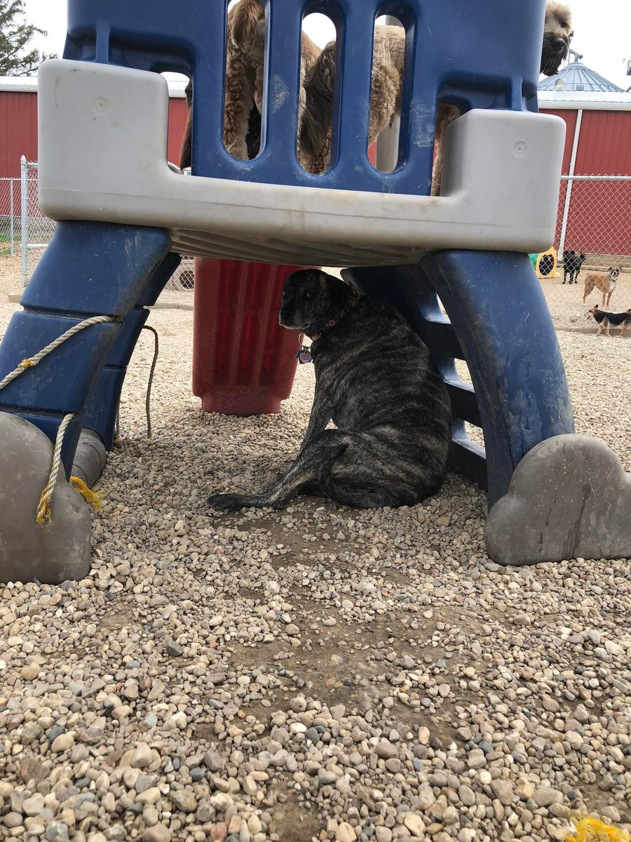 KikiHar08's tweet photo. Being a goon at daycare! https://t.co/0BlhHW0kHH