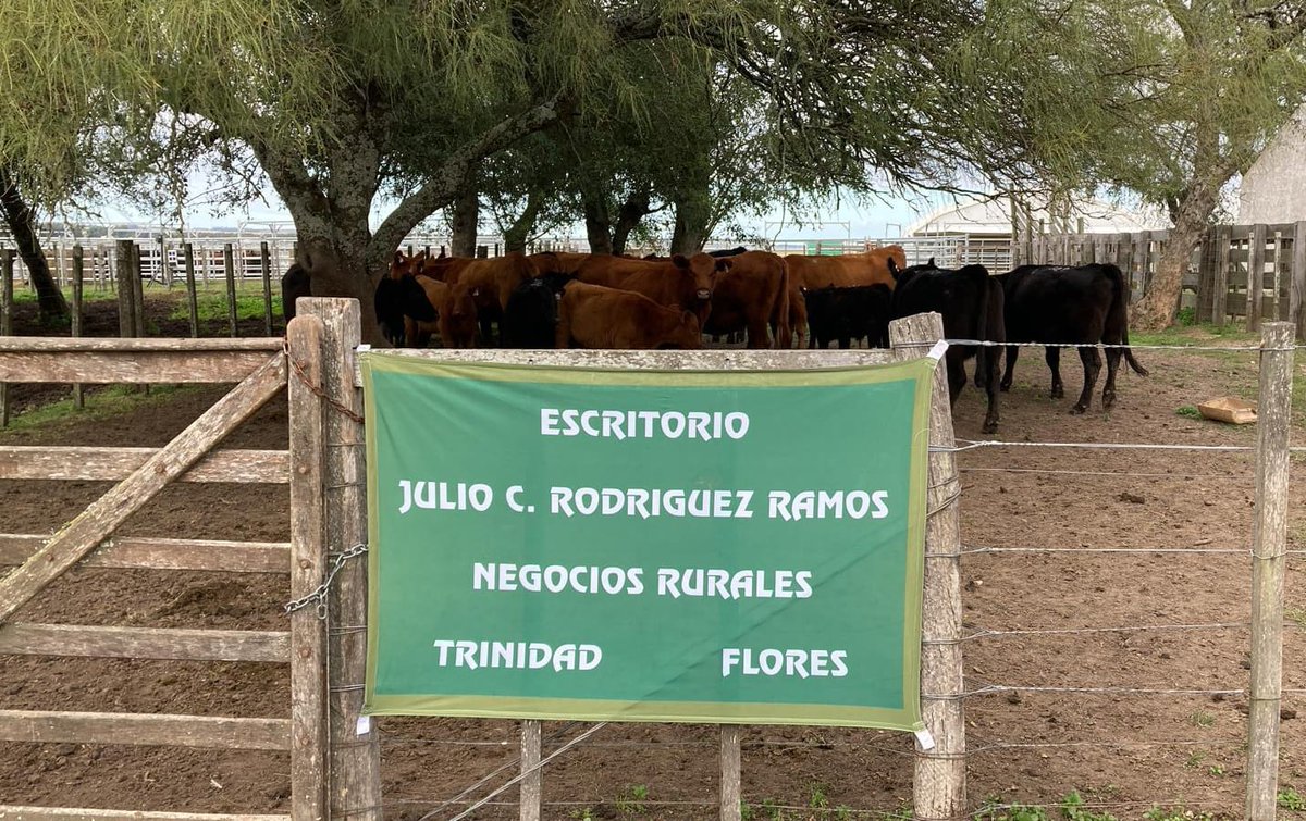 tomiyo_12's tweet photo. Nosotros estamos Listos💪🏻 @RrgtGarcia
Remate Cabaña La Competencia
⏰ 10:30
📍Camino la Tahona, a 15km de Trinidad. 
LOS ESPERAMOS!!! https://t.co/s2wSFpZUeN