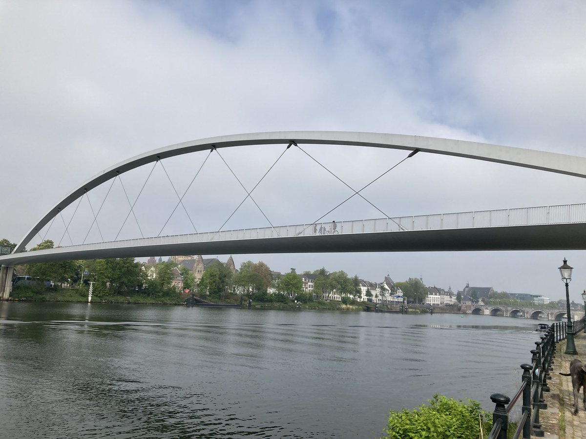 Helen Roche tweet media