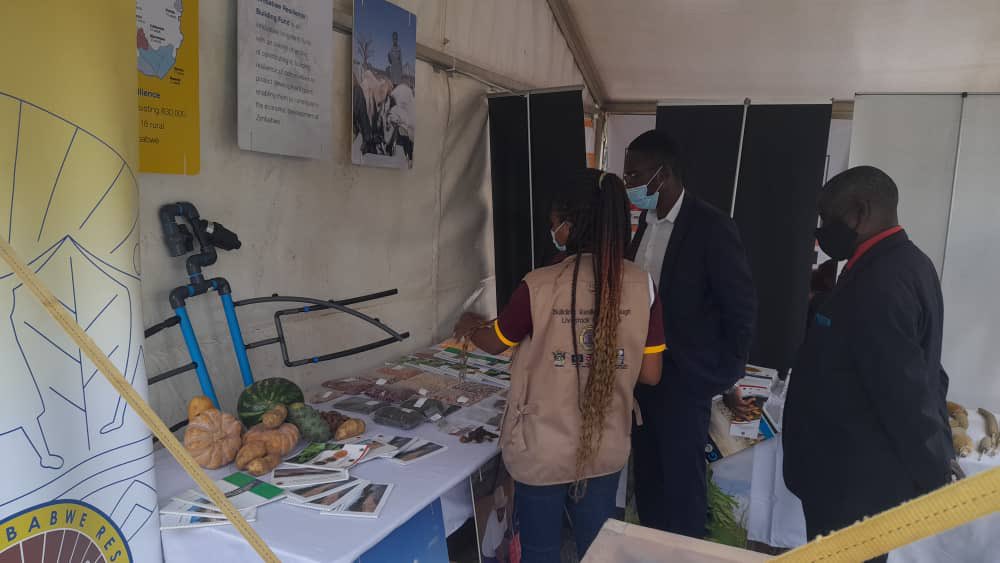 garethhorsfield's tweet photo. UNDP’s Zimbabwe Resilience Building Fund is the largest of its type in the region with 1.13 million beneficiaries (almost 12% of the national population). Beneficiaries average monthly income has doubled and beneficiaries are bouncing back from climatic and macroeconomic shocks. https://t.co/oWKsHbNWMw