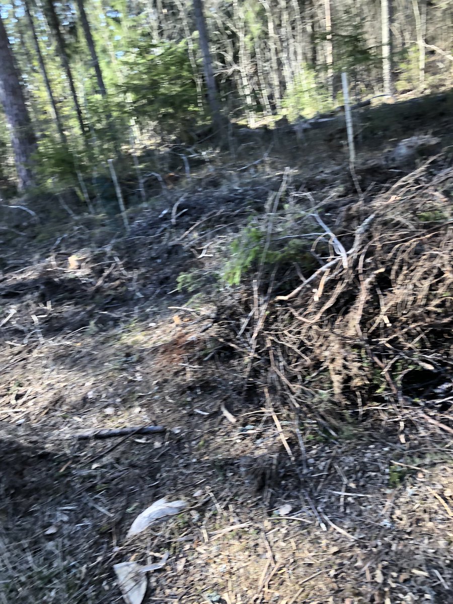 TuijaVirtanen's tweet photo. Paistaa se päivä risukasaankin 💪☀️#mökkihömmia #vesuri #särkijärvi #bootcamp247 #visittammela https://t.co/9dB2RQP1oN