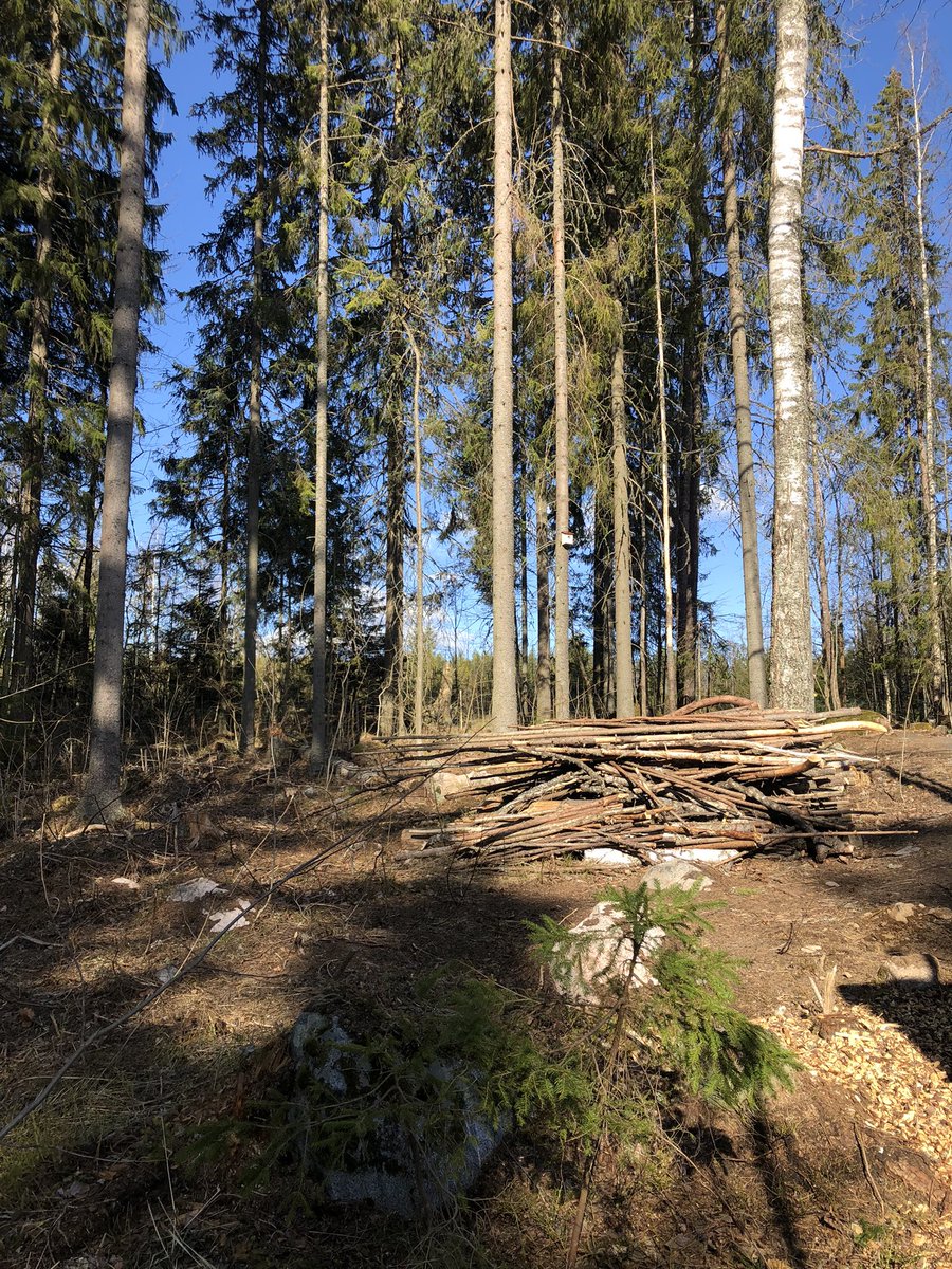 TuijaVirtanen's tweet photo. Paistaa se päivä risukasaankin 💪☀️#mökkihömmia #vesuri #särkijärvi #bootcamp247 #visittammela https://t.co/9dB2RQP1oN
