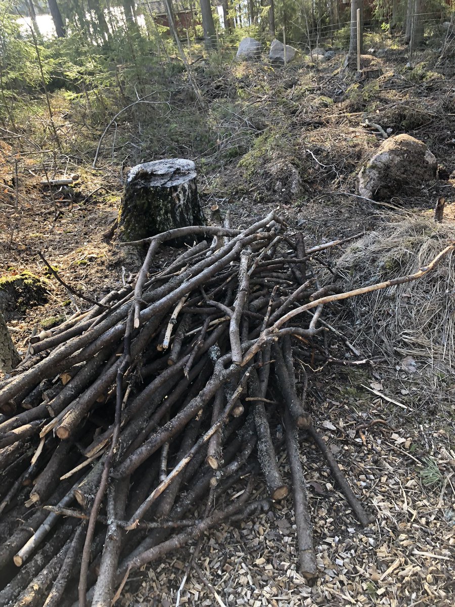 TuijaVirtanen's tweet photo. Paistaa se päivä risukasaankin 💪☀️#mökkihömmia #vesuri #särkijärvi #bootcamp247 #visittammela https://t.co/9dB2RQP1oN