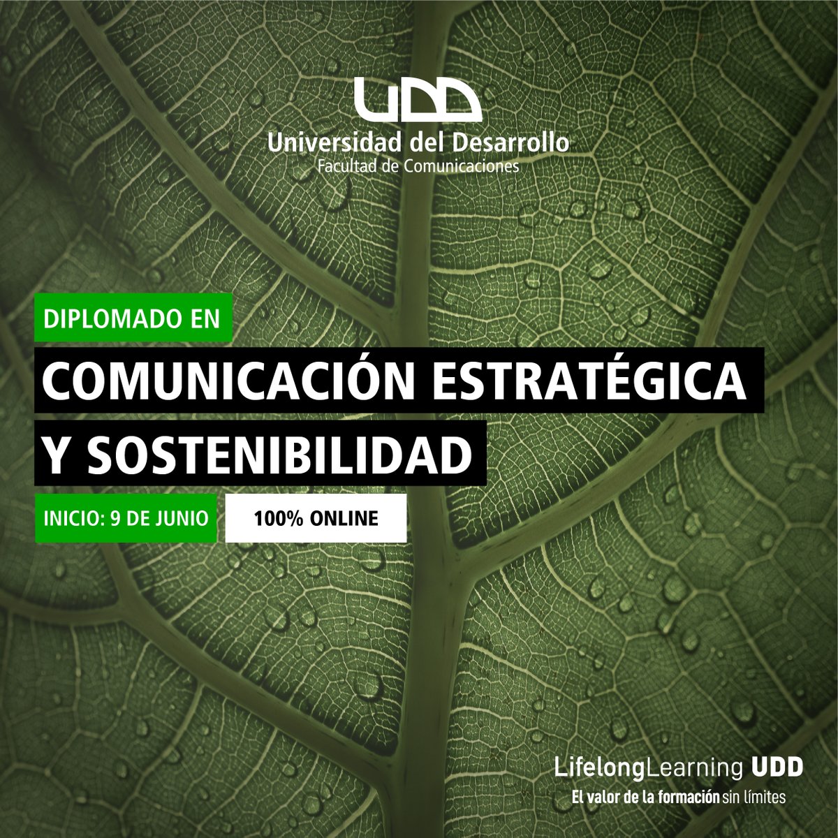 LifelongUDD's tweet photo. 📍Diplomado 100% Online: Clases sincrónicas y asincrónicas.
💡[Admisión Temprana] hasta el 13 de mayo.
General: 15% de Dcto. en el Arancel + Matrícula costo Cero
Alumni UDD: 25% de Dcto. en el Arancel + Matrícula costo Cero
✔Más Info: postgradocomunicaciones@udd.cl https://t.co/yAuteqodz4