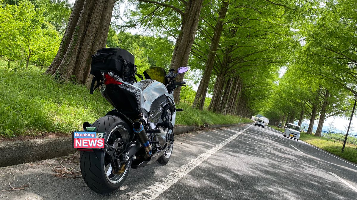 Z1000S_R_C's tweet photo. ツーリング３日目終了！
ずっと行きたかったメタセコイヤ並木に感激
昼頃から４００㌔走って無事帰宅
初めて一度のツーリングで1000キロ超えた https://t.co/ES0TFkkv95