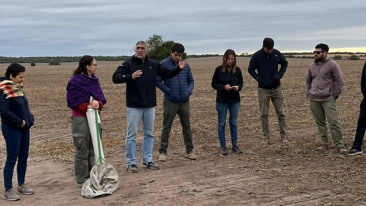 crea_arg's tweet photo. 1° Jornada nacional CREA de monitoreadores de #plagas 🐛🕷👀

Nos fuimos a #Cordoba para repasar técnicas y criterios de monitoreo e intercambiar experiencias sobre evaluaciones de campaña junto a @ASASemilleros y especialistas de Argentina y Brasil   🇦🇷🇧🇷 

#somoscrea https://t.co/xBnv36nH8v