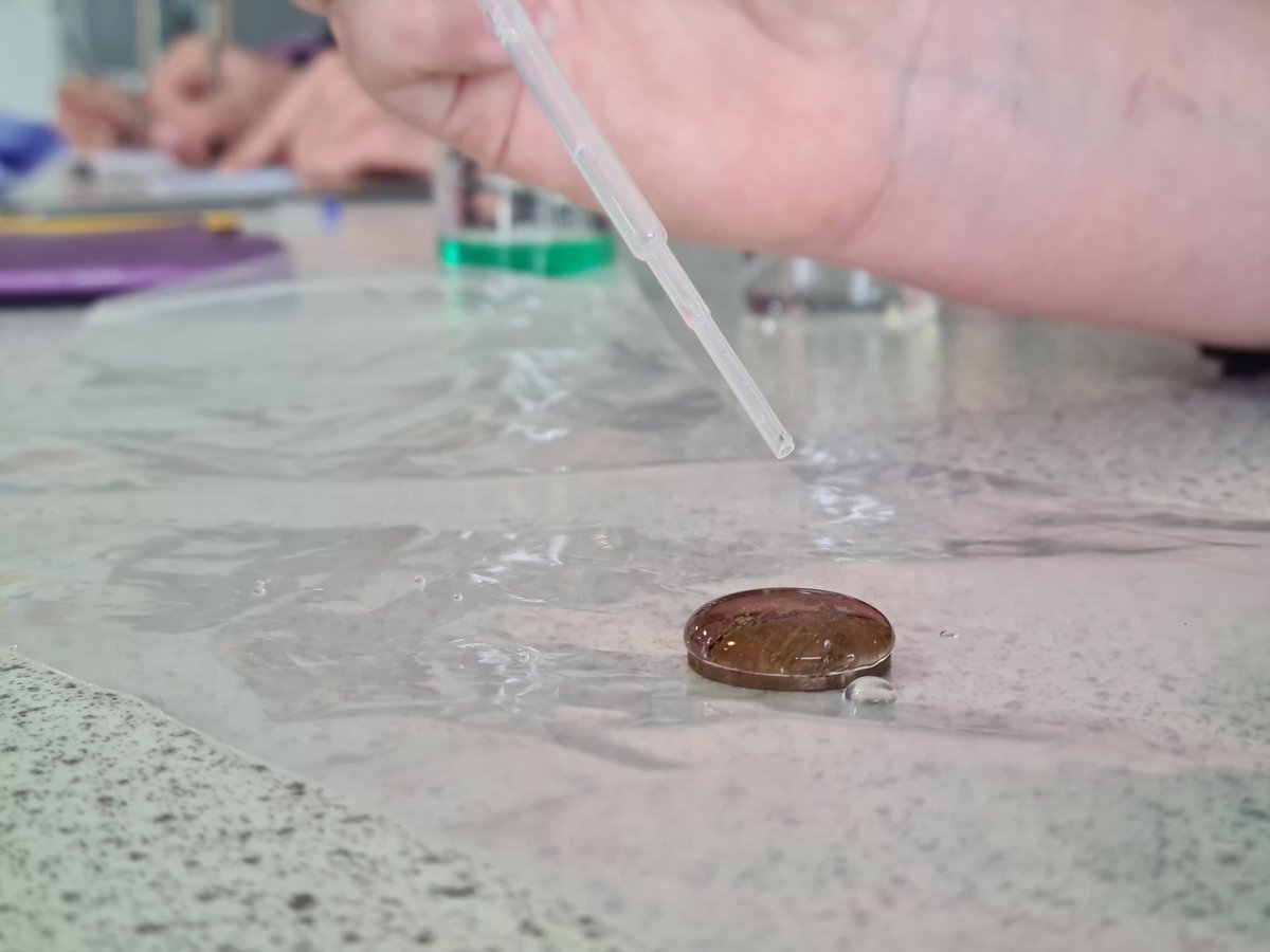 RhylHigh's tweet photo. Year 9 children studying surface tension using pennies 💜#GoodBraveHealthyHappy https://t.co/uaNJbkgVKH
