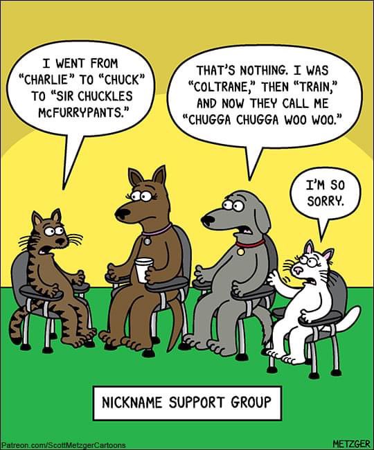 Gibela this made me think of you <a href="/GibsonTheKitty/">Gibson</a>