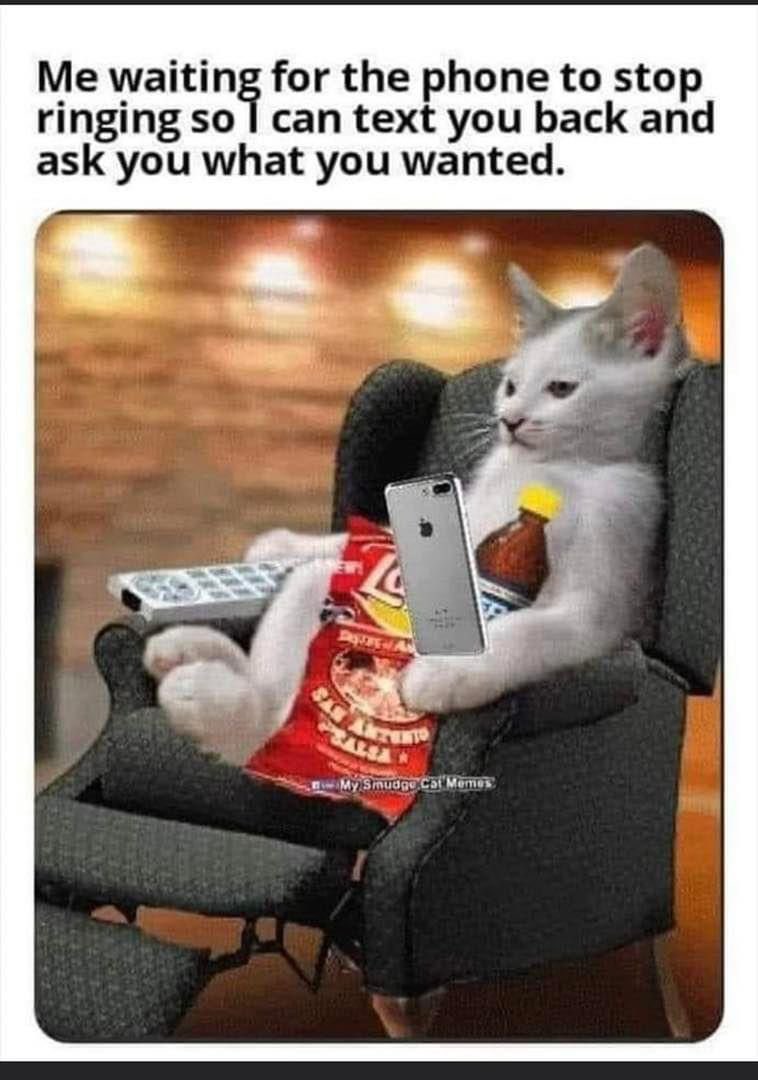 Without fail, image size:758x1080