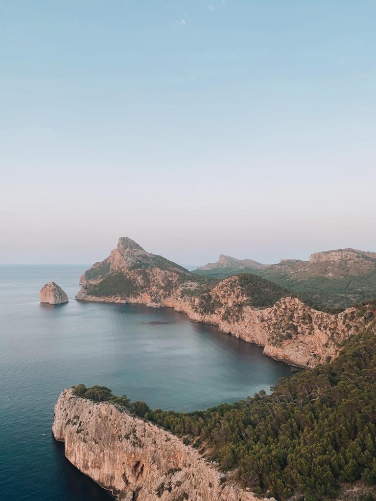 TotsBalears tweet media