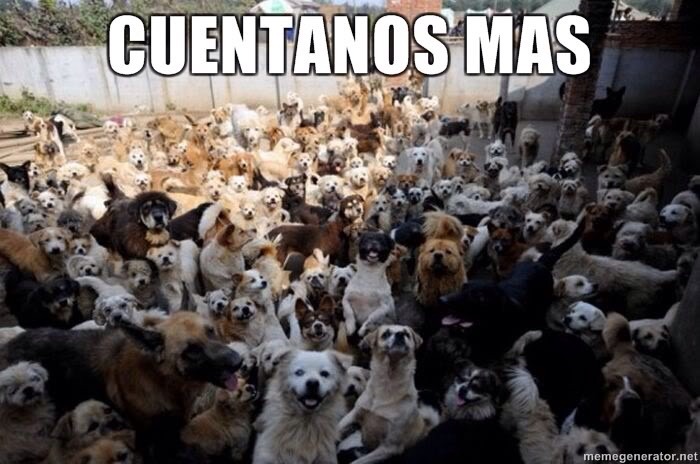 inb_raul's tweet photo. @DoresXaime https://t.co/ZZxq76CygL