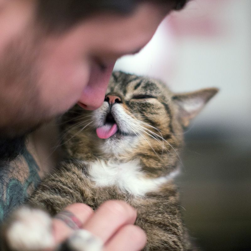 Support BUB's Animal Kindness Fundraiser! - mailchi.mp/lilbub/be-kind…