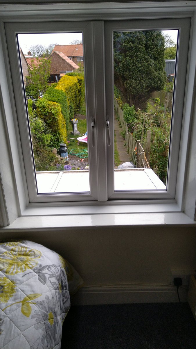 Flamborough windows tweet media