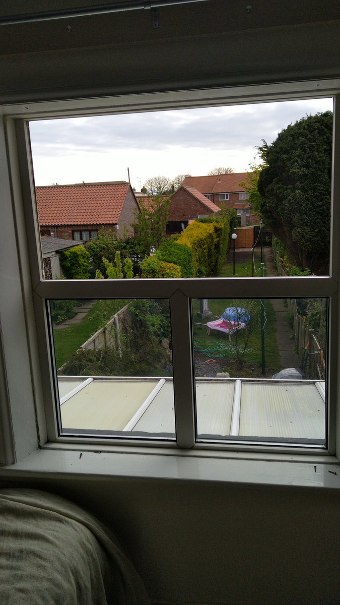 Flamborough windows tweet media