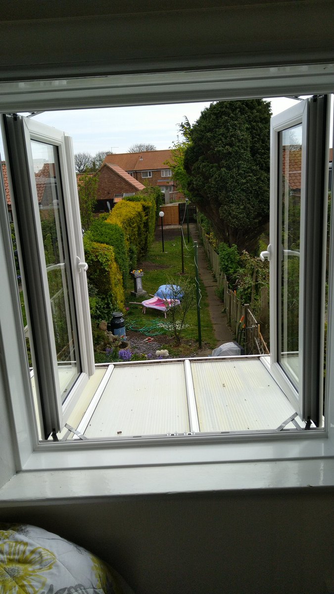 Flamborough windows tweet media