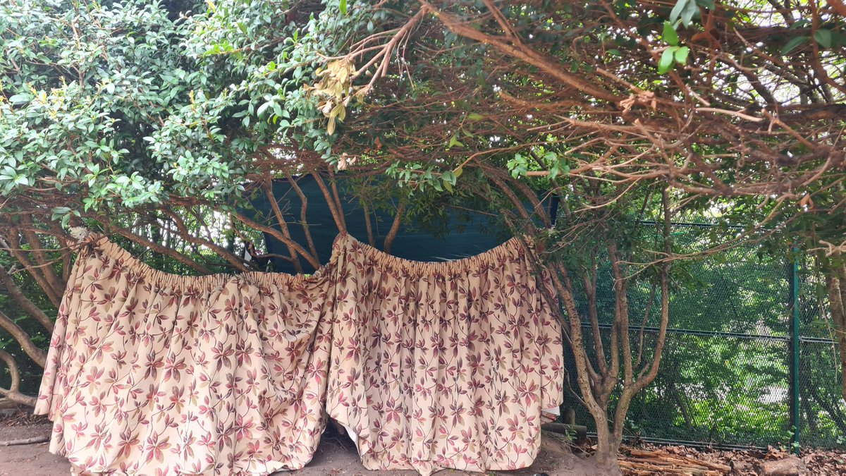 Sukhyk1985's tweet photo. We loved forest school today! Year 5 made dens, bug hotels, tree cookies, seed bombs, indulged in the mud kitchen and so much more! πΏπ²π³πͺ΄π
#EducationTwitter
#OutdoorLearning
#ForestSchool
#NatureIsCalming
#EarthDay2022 https://t.co/XtGU0vm1U7