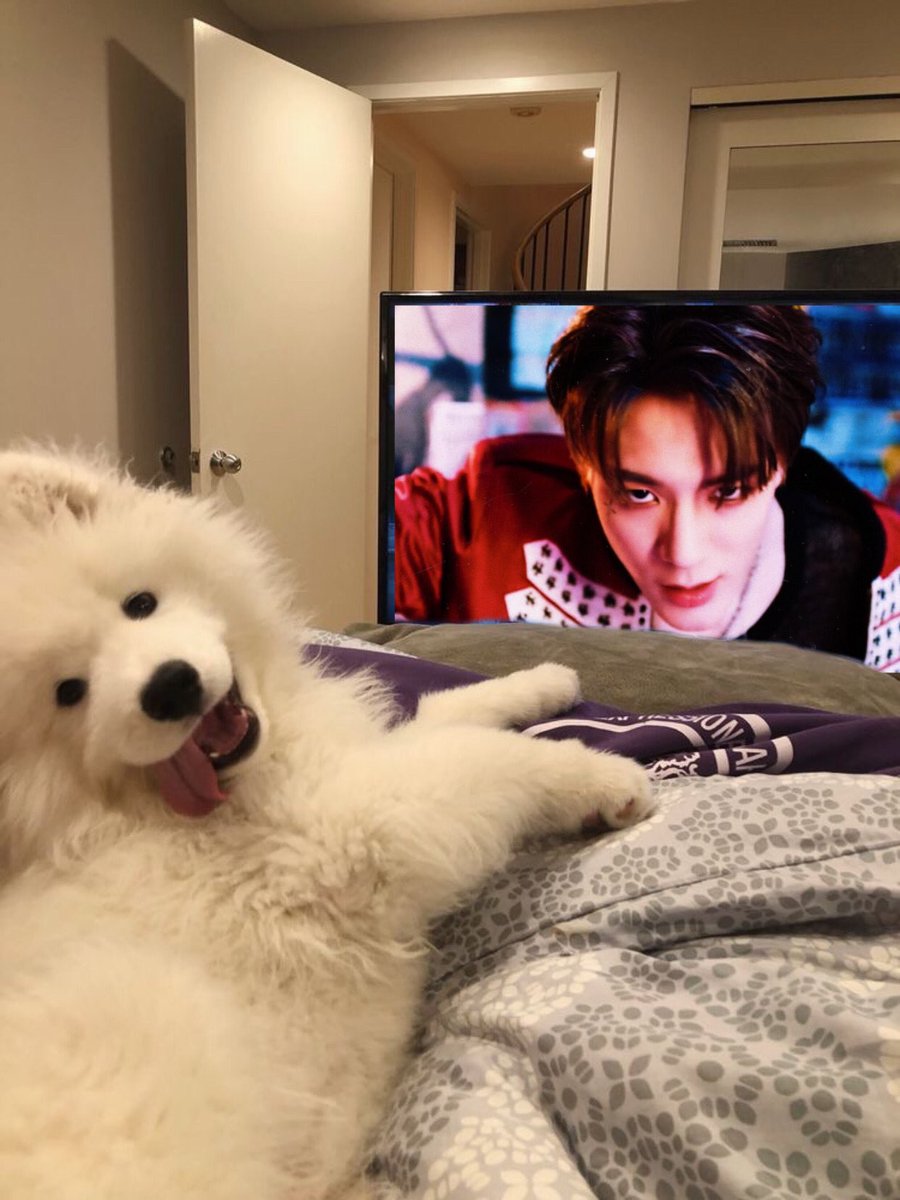 แม่จ๋าๆๆๆ นั่นหนูเหรอ 🥺🥺🥺🥺🥺 จิงงะ