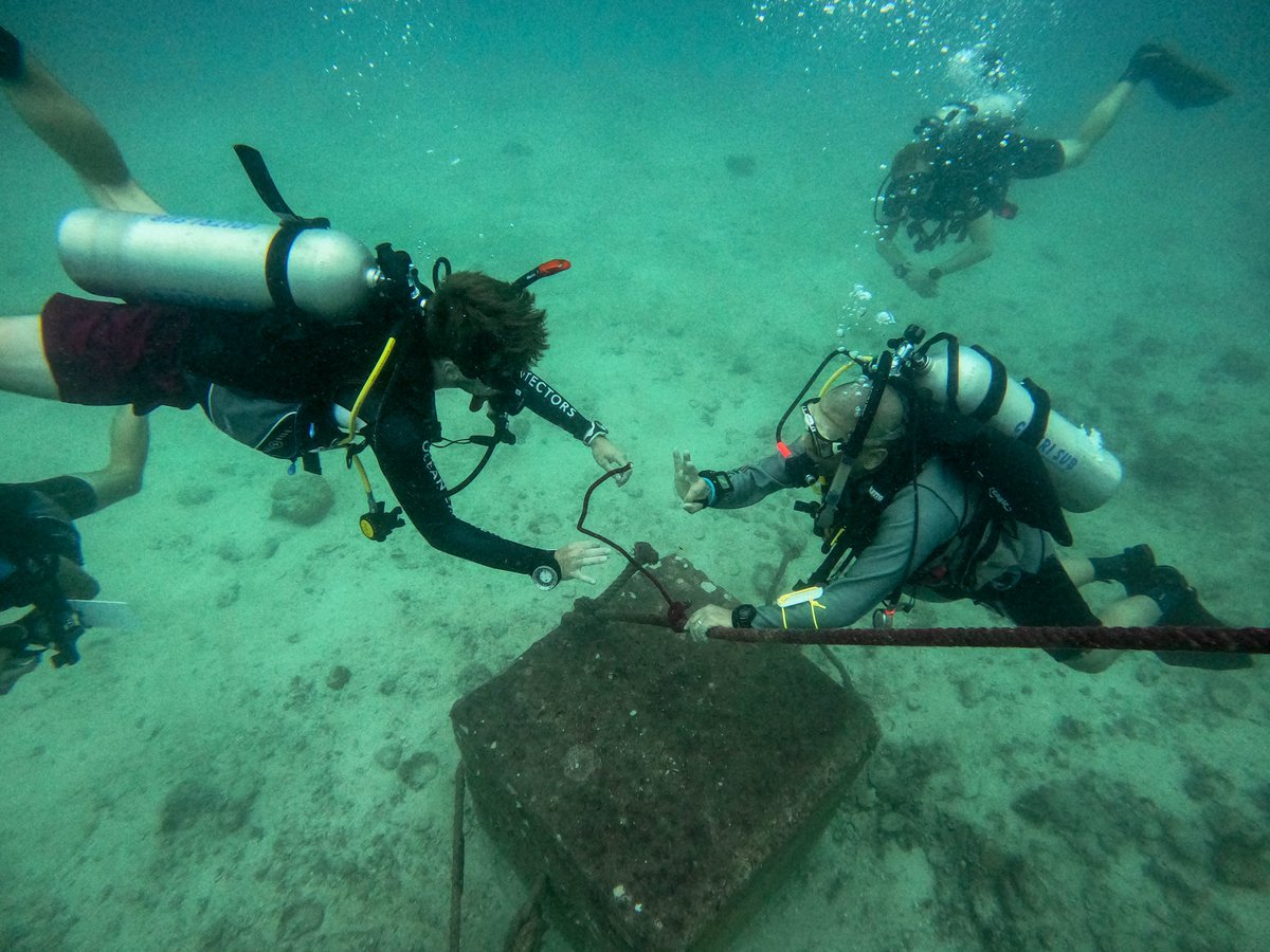 GoProIDCKohTao's tweet photo. Today our @PADI #divemaster candidates have been out for their Search & Recovery Scenarios.
Based on information they gathered they planned out and executed both an U-Pattern & a Jackstay Pattern.
Come and join us:
https://t.co/OpB4NDpdzi
#idckohtao #divingcourse #scubadiving https://t.co/fyVVvfYAUK