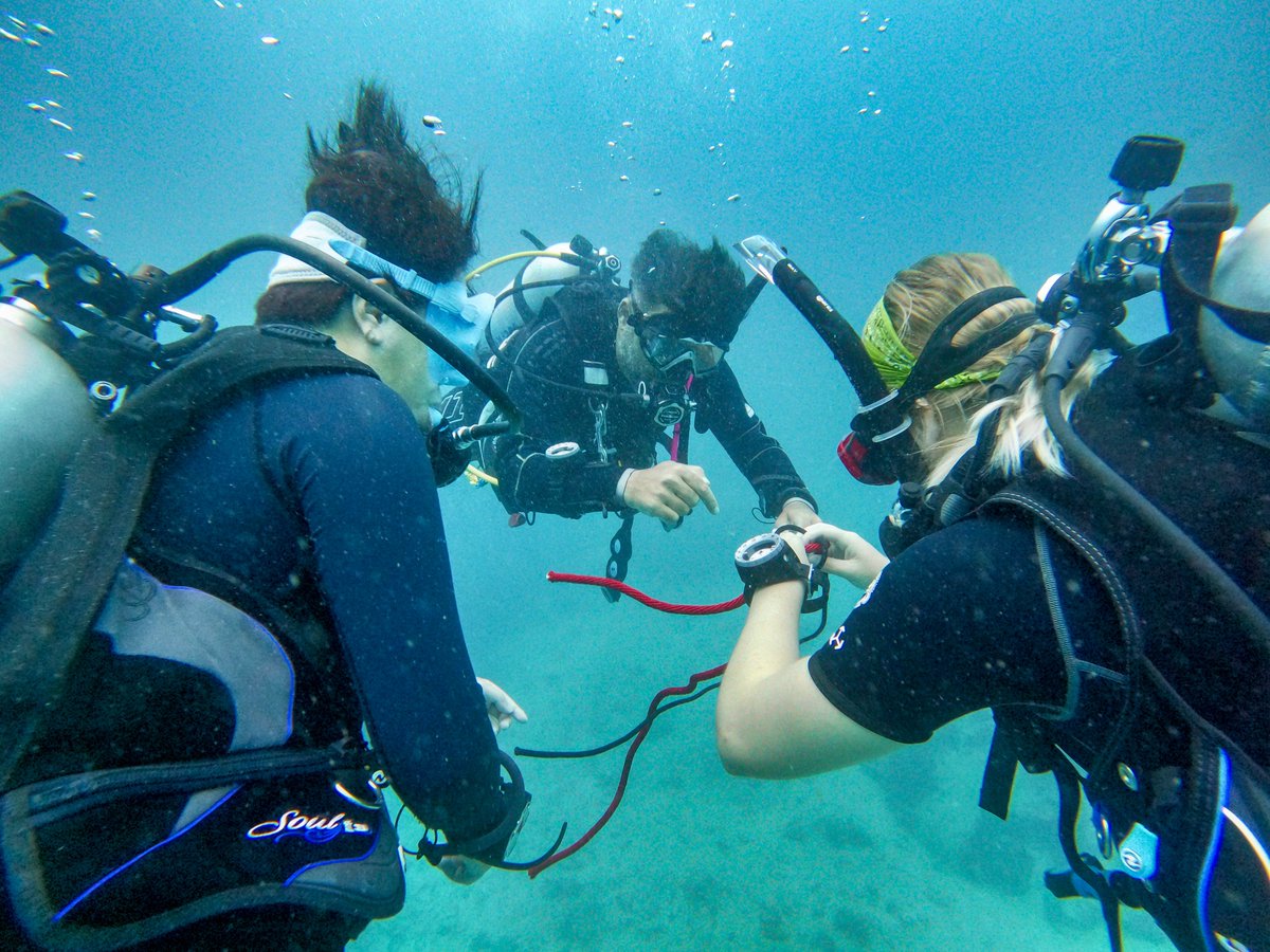 GoProIDCKohTao's tweet photo. Today our @PADI #divemaster candidates have been out for their Search & Recovery Scenarios.
Based on information they gathered they planned out and executed both an U-Pattern & a Jackstay Pattern.
Come and join us:
https://t.co/OpB4NDpdzi
#idckohtao #divingcourse #scubadiving https://t.co/fyVVvfYAUK