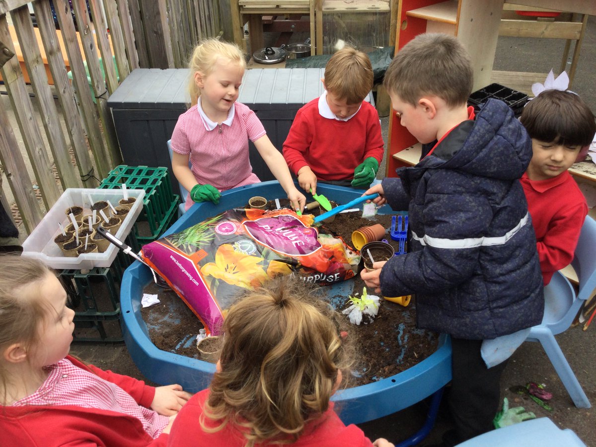 Miss Sweet tweet media