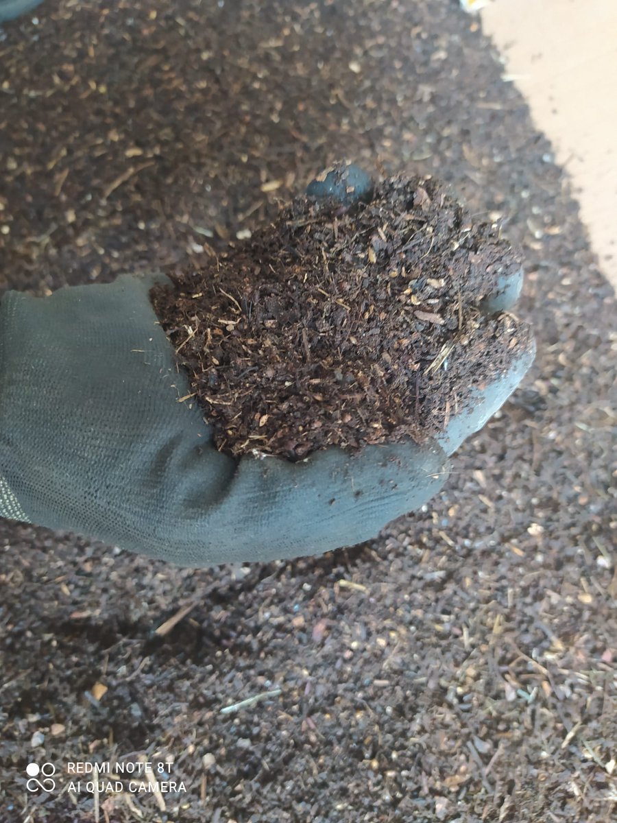 AjuntamentArtes's tweet photo. Coincidint amb la #setmanainternacionaldelcompost tanquem el cercle i repartim més de 200 kg de compost generat pels veïns i veïnes de la Vista Pirineu d'Artés. https://t.co/98amh2vDzY