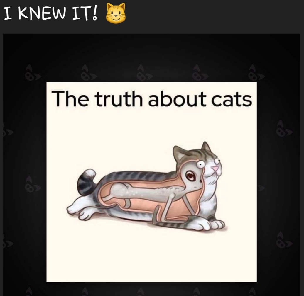 just1ofall's tweet photo. 🤣😹 https://t.co/rzKY0FUsWw