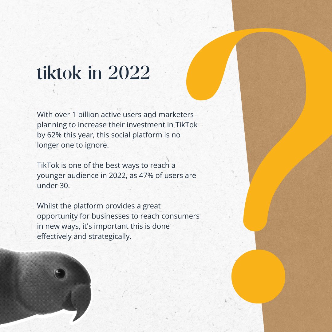 wearesoshell's tweet photo. WHY YOU CAN'T IGNORE TIKTOK 📱

We've listed a few important things to remember when creating TikTok's, what else would you add?

Don't forget to contact us if your socials need some help!

#tiktok #tiktokmarketing #contentcreation #socialmedia https://t.co/cdLgielHHs