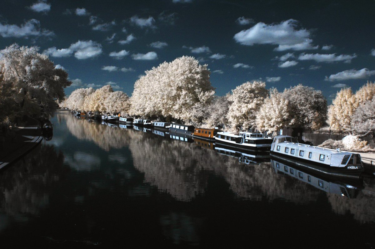 Cymarin_'s tweet image. I found some of my early (2012) colour infrared photography.. I absolutely adored making images like these! Hopefully I will do more photography soon... #infraredphotography #infrared #colorinfrared #blueandwhite #beautifulphotography