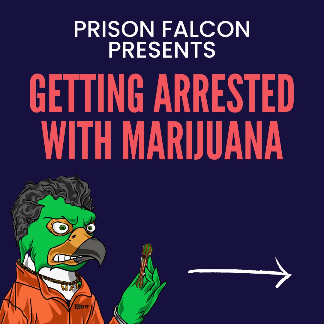 420_Falcons's tweet photo. 1. If you're ever arrested for possession of marijuana, remember these handy tips from Prison Falcon, and you'll be one step closer to freedom #LegalizeIt #weed #peregrine #SocialJustice #420falcons https://t.co/dJJIAPk46b