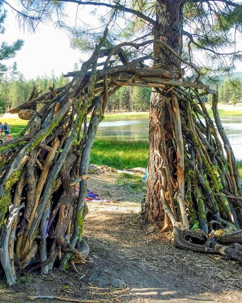 DisclosureFest™ tweet media