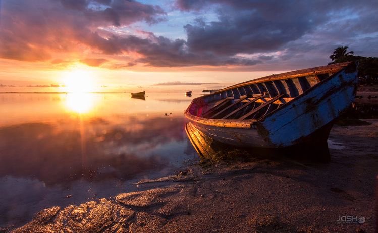 NurseLJohn707's tweet image. Your attitude determines your outcome. Think positive.
#InspirationalQuotes #nature