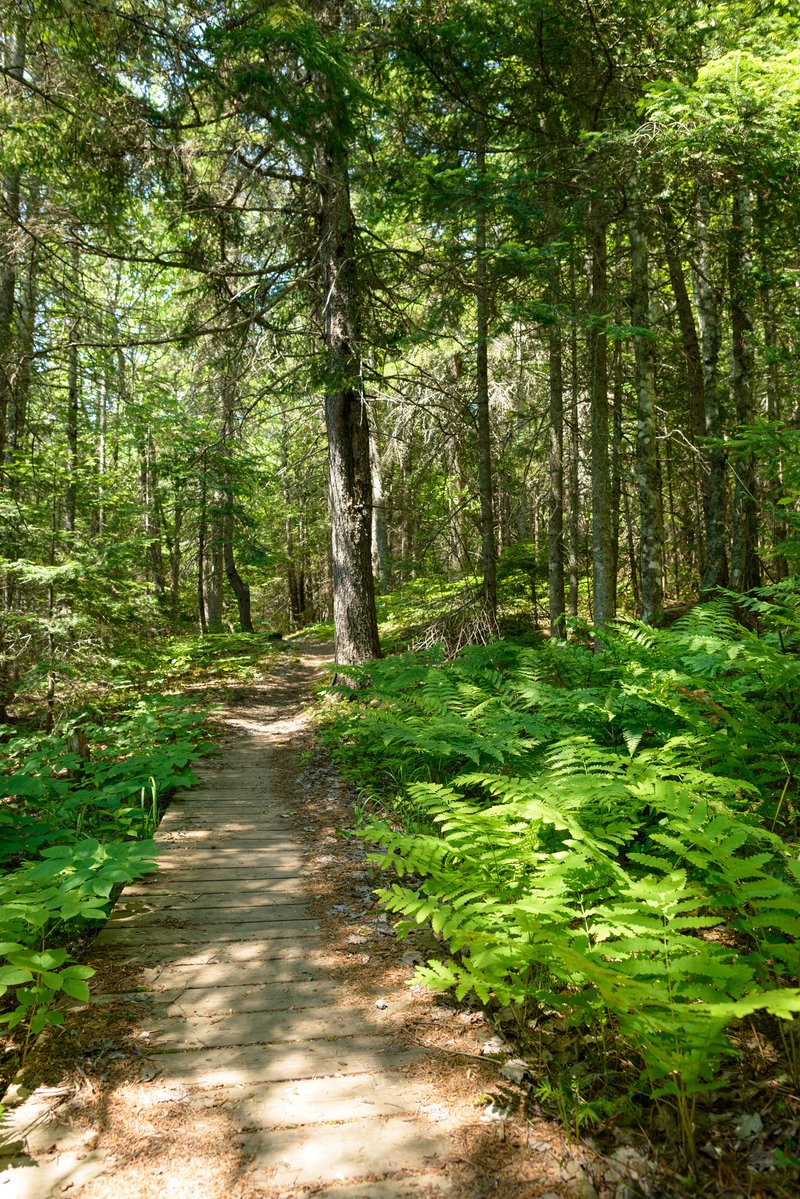 Parks Canada tweet media
