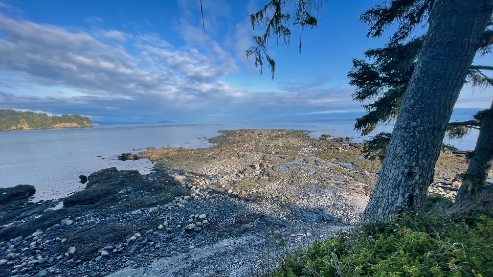 xexplore's tweet photo. Tongue Point on the Strait of Juan de Fuco. This was a negative tide and I’ve never seen so much of the reef exposed. #wonderwashington #hikewashington #entertheadventure #getlostadventuring #pnwhiking
#YourShotPhotographer #conquernorthwest #nextstop24traveler #WildOlympics https://t.co/imnDgBeztL