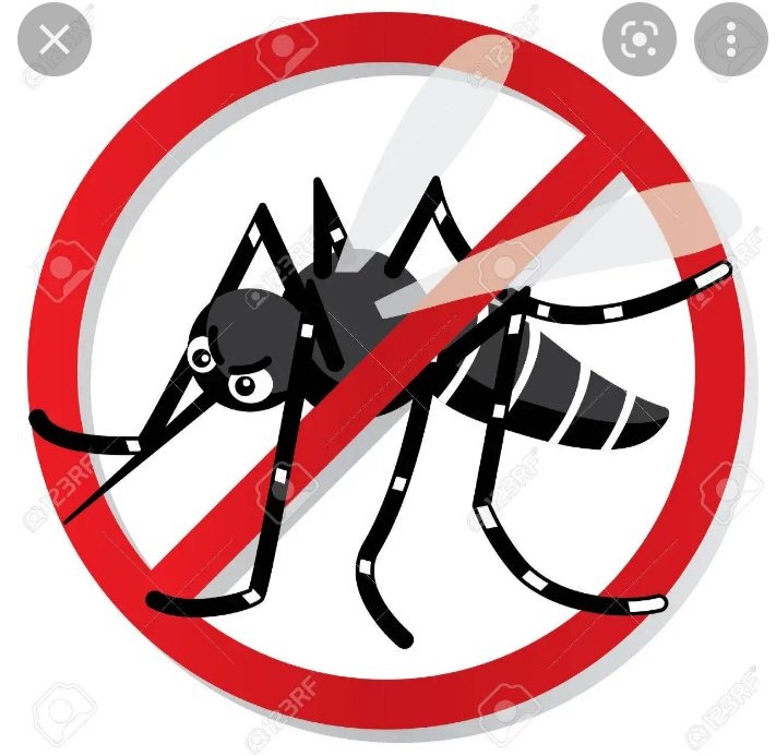 DocenteSanta's tweet photo. 👉 Del 6 al 10 de Mayo #Semana #AcciónContraLos Mosquitos 🦟 en el #Caribe
📢Realiza el #Autofocal y #Elimina los Criaderos
#CuidaTúSalud y la de tú #Familia‼️
#CubaPorLaVida👨👩👧👧⚕️🇨🇺 https://t.co/q8o08gNspA