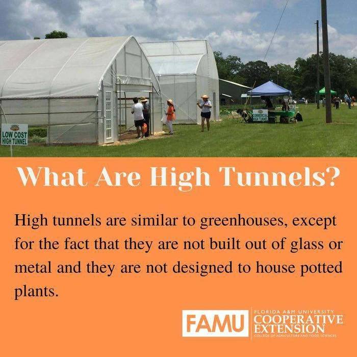 FAMUExt's tweet photo. Friday FYI: High Tunnels
#famuext #extensionhasanswers #hightunnels #farming #gardening https://t.co/CPWI656nhP
