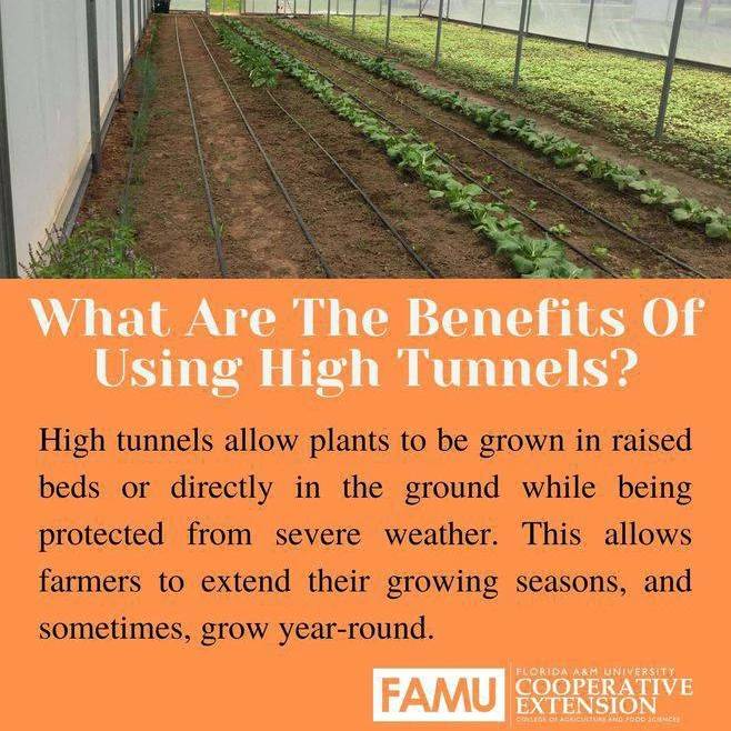 FAMUExt's tweet photo. Friday FYI: High Tunnels
#famuext #extensionhasanswers #hightunnels #farming #gardening https://t.co/CPWI656nhP