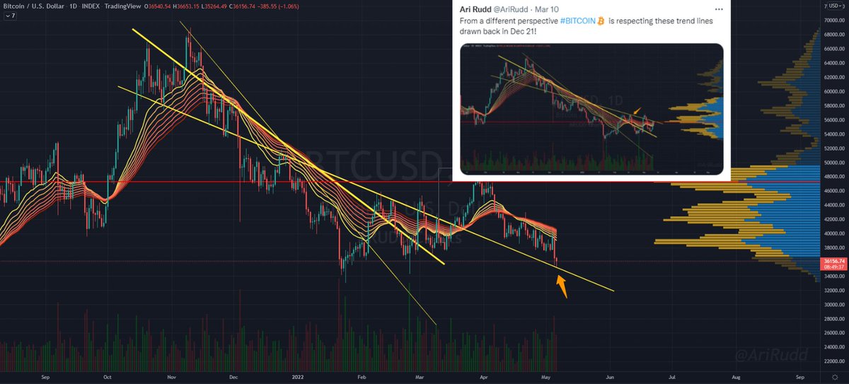 Ari Rudd tweet media