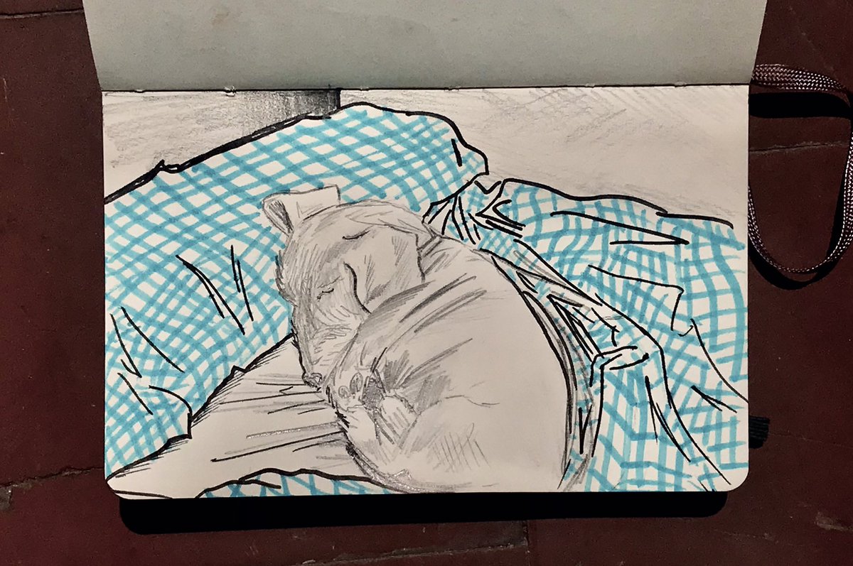 🛌