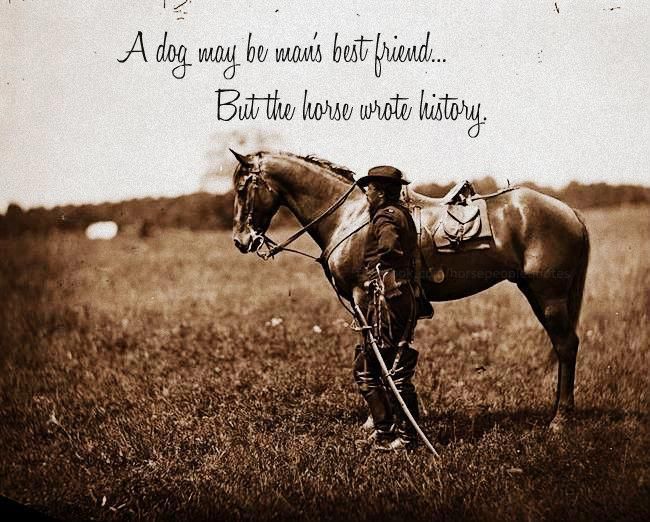 CagesFree's tweet photo. A dog maybe man's best friend
But horses wrote history
Nowadays hunted, abused, killed by the numbers. Some of us have really short memories
#ReturnToFreedom #NoHorseSlaughter #WildHorses
No more #HorseRacing 😡
#StopWildHorseRoundups!🐴 https://t.co/GvAgrhx1jN