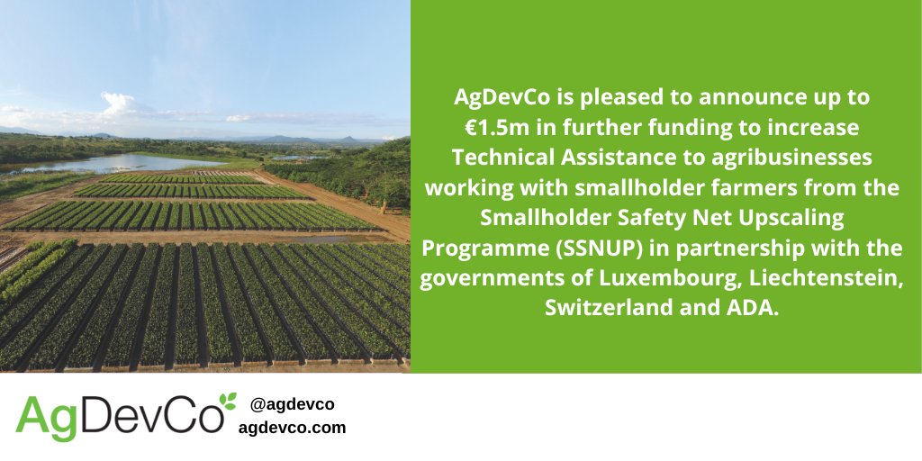 AgDevCo is pleased to announce up to €1.5m in further funding to increase Technical Assistance to agribusinesses working with smallholder farmers from the Smallholder Safety Net Upscaling Programme (SSNUP). Find out more about the TAF here: agdevco.com/our-approach/t…